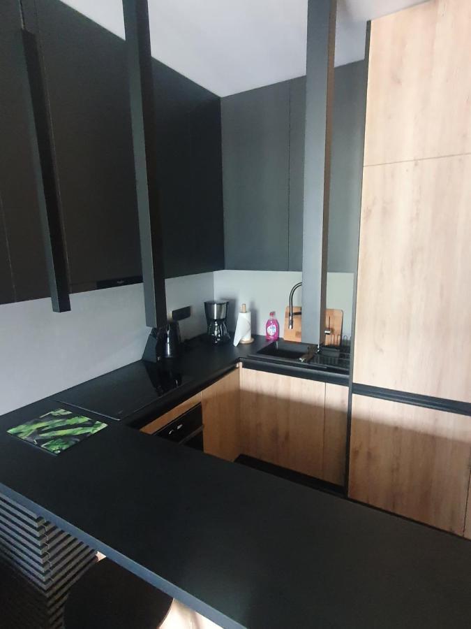 Apartament Szyndzielnia Bielsko-Biała Dış mekan fotoğraf